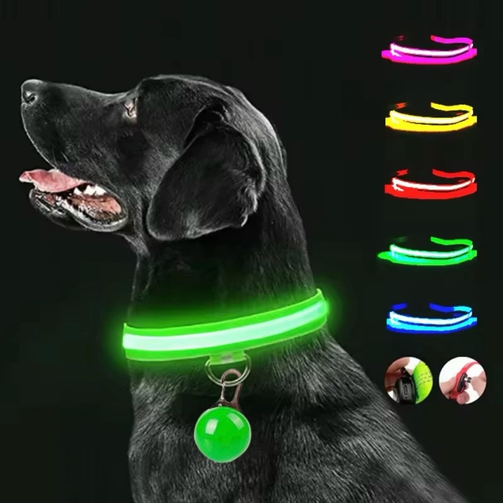 LED Glowing Dog Collars - Pet Safety/Night Walking & Rechargeable